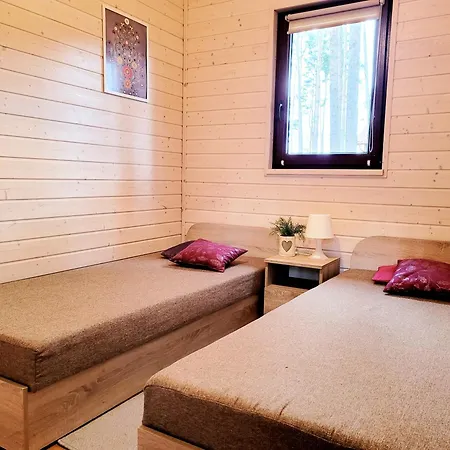 Doborowy Nad Brzegiem Jeziora Wdzydzkiego Kaszuby Ferienhaus *